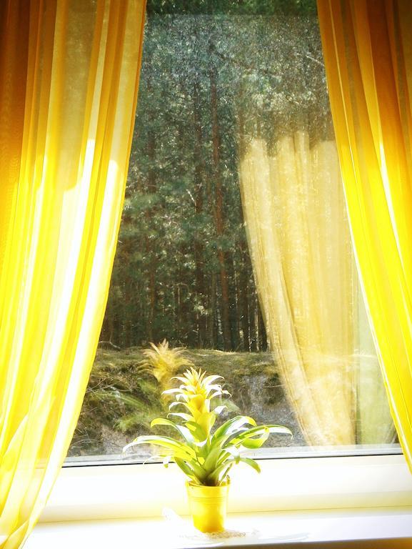 Jaukus Poilsis Nidoje Apartment Cameră foto